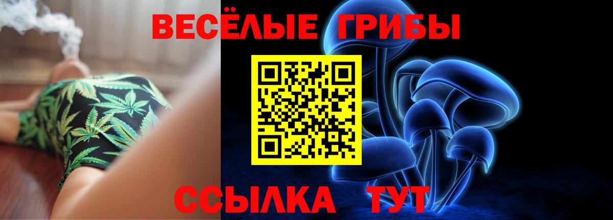 Галлюциногенные грибы Cubensis Карпинск